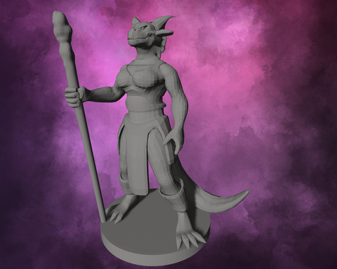 3D Printed Miniature - Dragonborn Female Sorcerer Style 1