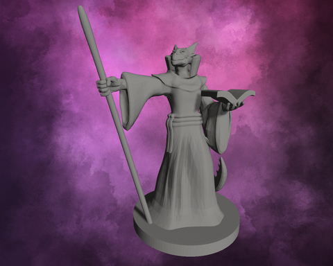 3D Printed Miniature - Dragonborn Female Wizard