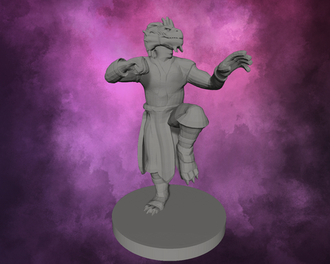 3D Printed Miniature - Dragonborn Male Monk Style 1