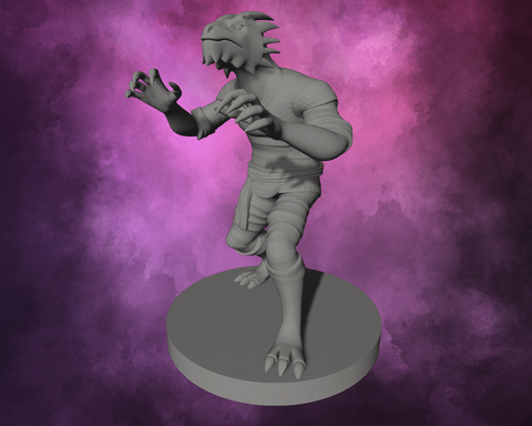 3D Printed Miniature - Dragonborn Male Monk Style 2