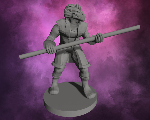 3D Printed Miniature - Dragonborn Male Monk with Staff